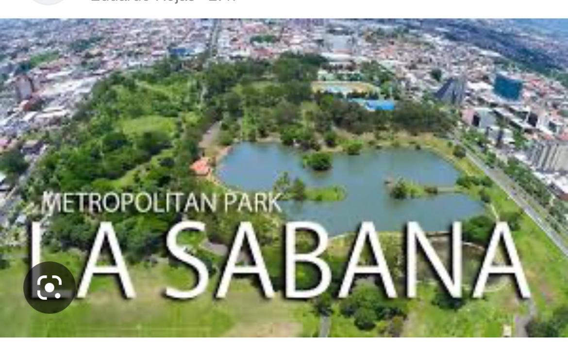 Hotel Sabana Inn サンホセ エクステリア 写真